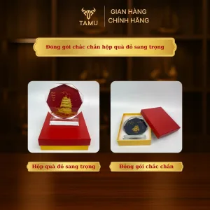 Cúp pha lê thuyền thuận buồm xuôi gió nền đen hình 7