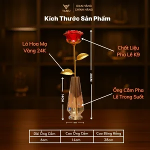 Thông số hoa hồng pha lê mạ vàng 24k
