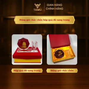 Hộp Quà Cao Cấp Cúp Pha Lê Kèm HCB Để Bàn