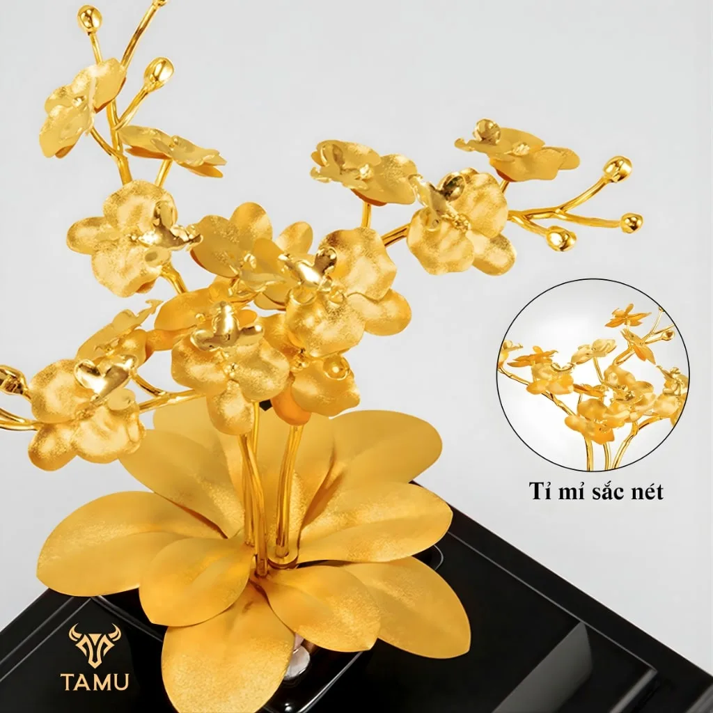 Chi tiết chậu hoa lan hồ điệp 24k