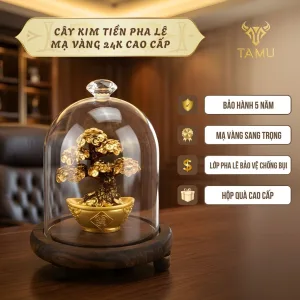 Cây Kim Tiền Pha Lê Decor Công Ty