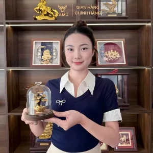 Cây Kim Tiền Pha Lê Decor Công Ty