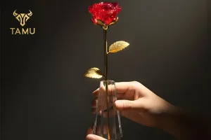 Lỗi thường gặp khi chọn pha lê vinh danh doanh nhân tiêu biểu: Thiếu sự tư vấn từ nhà cung cấp